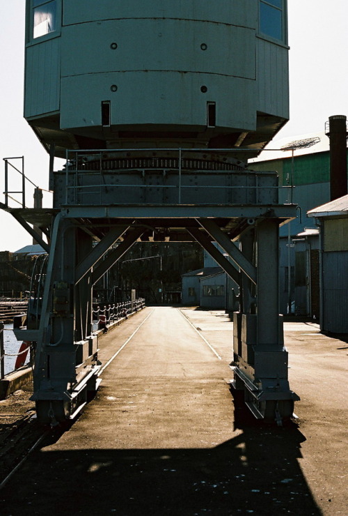 Sun-cooked afternoon, Cockatoo Island. Olympus OM-2n, Kodak Portra 160.