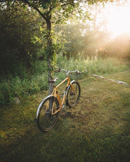Summer morning glow. ☀️ I’m not a huge fan of the really hot summer days but the mild mornings