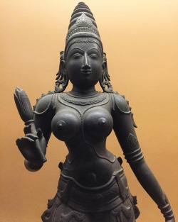 swapnil1690: Parvati Chola Period, 10th Century #Gods #GodsOfIndia #FreeTheNipple #Historic #Heritage #BodyGoals #Sculpture #Bronze #BronzeSculpture #BronzeCasting #Female #TheFutureIsFemale #Hindu #Hinduism #HinduTraditions #Iconography #SalarJungMuseum