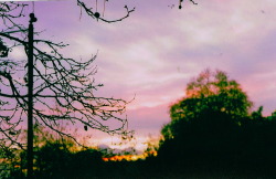 mounaks:  sunset, london 2015 [more 35mm films] 