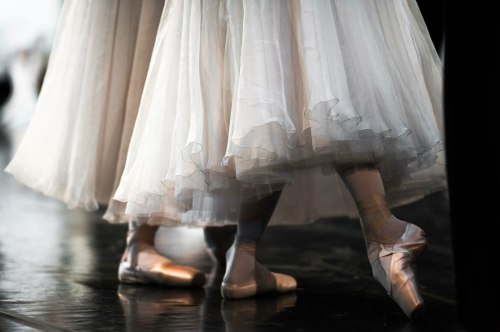 lasylphidedubolchoi:Les SylphidesPhotos by Ekaterina Lyzhina