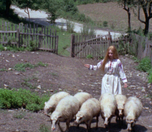 mrtva:Mirjana Nikolić as Radojka in the first Serbian horror movie Leptirica, 1973 “If anyone in Yug
