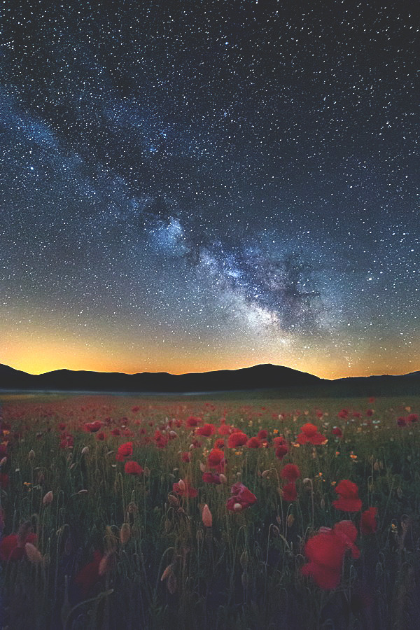 visualechoess:  Nella notte incantata | Photographer
