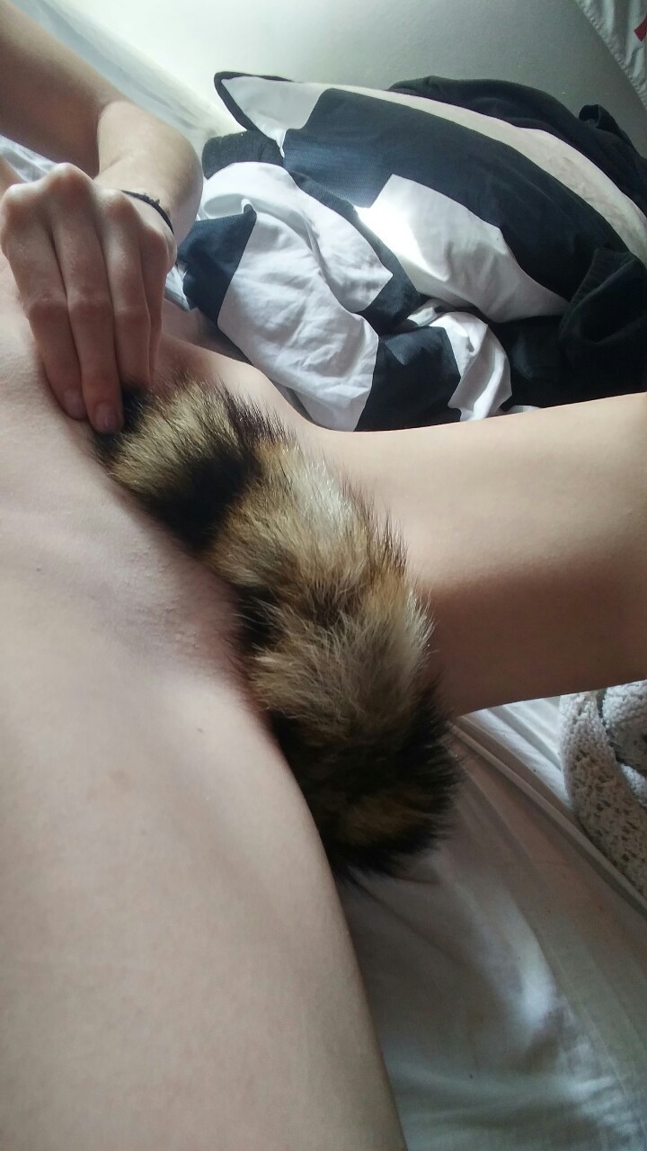 xxdmj:  Daddy also got me my fox tail butt plug and my heart butt plug😍 I love