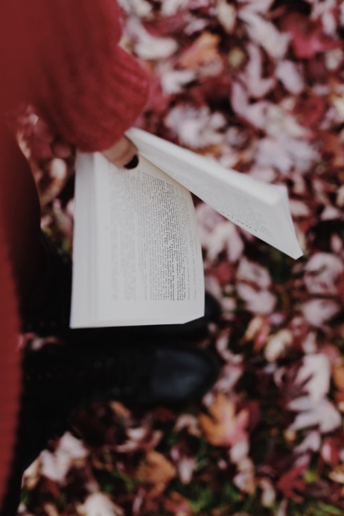 Fall.bookstagram | facebook | twitter | blog | 