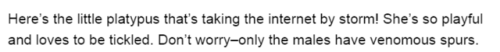 vladtheunfollower:Mary Daly was right