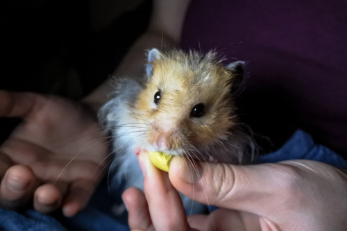 Such a fuzzy boy, I just love him so much.