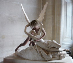 tmpls:  brusendehave:Psyche Revived by Tobias’ Kiss, replacement nr. 1. I’ve replaced myself as Cupid in the beautiful sculpture Psyche Revived by Cupid’s Kiss.    Dear god my heart just dropped. Amazing!!!!