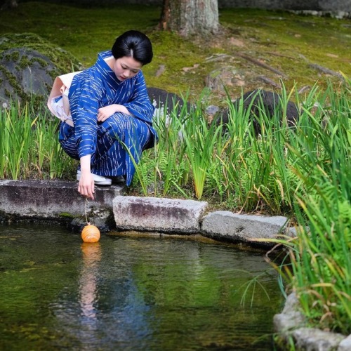 August 2017: geiko Toshisumi of Miyagawacho by  balbo42 on InstagramNew blog is up! V