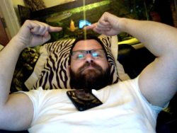 superbears:  HOT BEAR  Goldfish on Skype