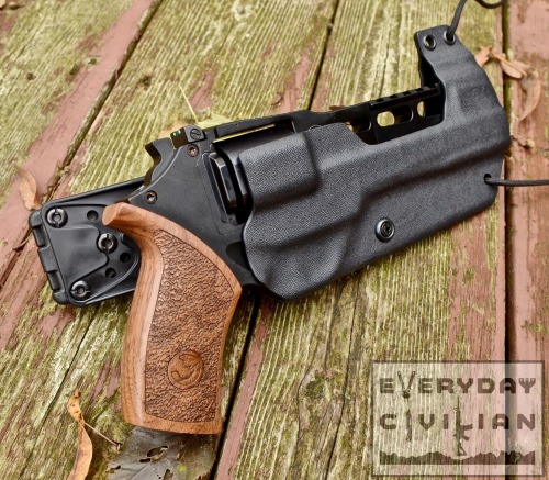 XXX everydaycivilian:  Chiappa Rhino 60DS Kydex photo