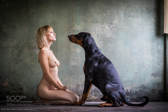domesticatedlarissa: femaleslaves2016:   Her position says that even the dog is her
