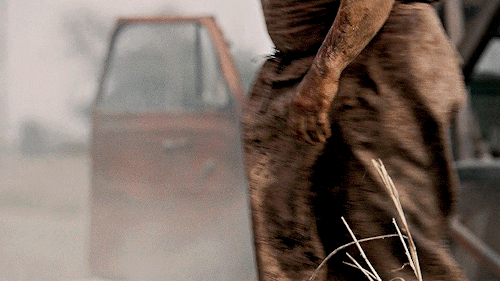 Free Leatherface/thomas Hewitt Mobile Headers!