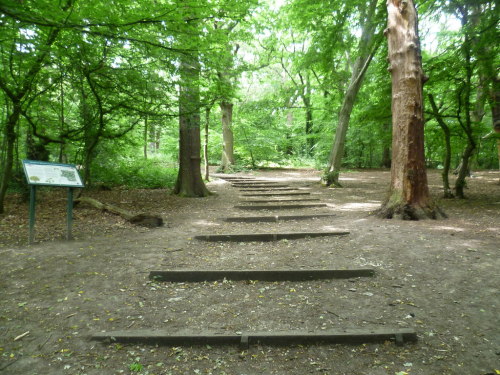 Queen’s Wood, Haringey