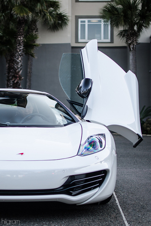 hilgramphoto:  Salute 