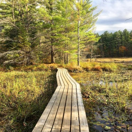 Another beautiful #hike in the books for this #fall season!#autumn #algonquinpark #fallrhapsody #c