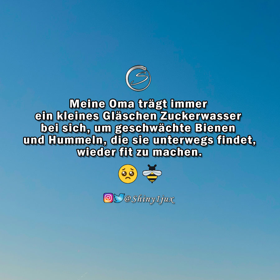Lustige Sprüche — Typisch Influencer 🤔 unterstützen Partys liken...
