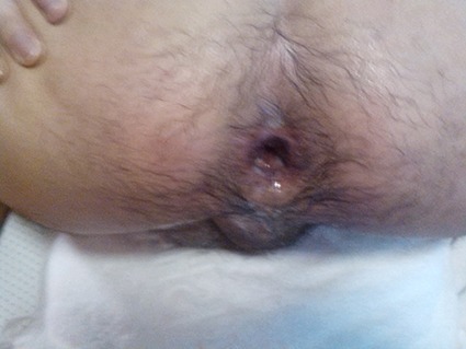 mantop10691:  你總是喜歡聞著我的腳底吸著我的屌.最後享受被我衝刺的快感….