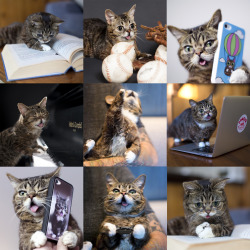 bublog:  If BUB can do it, SO CAN YOU. 