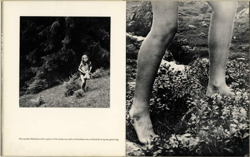 funeral:  sinuses:   Dream in the Forest, 1957. Photo: Ata Kandó  