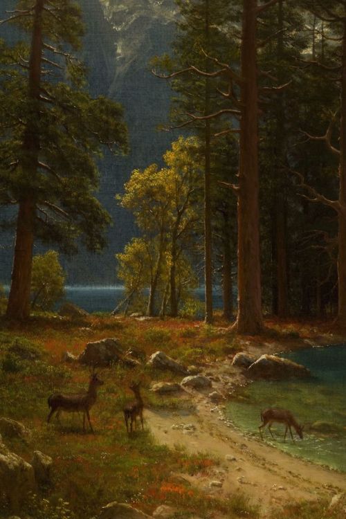  Albert Bierstadt,Sierra Nevada,detail