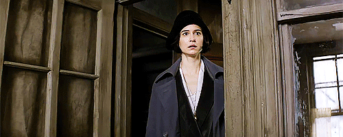 “Yesterday a Wizard entered New York with a case. A case full of magical creatures. And unfortunatel