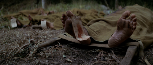 The Thin Red Line (1998)dir. Terrence Malick