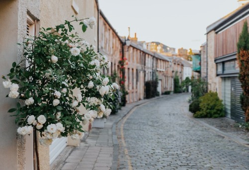 expressions-of-nature: Edinburgh, United Kingdom by Lucija Ros