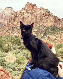 babydogdoo:Exploring Arizona National Park