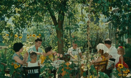 carol-danvers:How long have I not been alone with you?Le bonheur (1965) dir. Agnès Varda, cinematogr