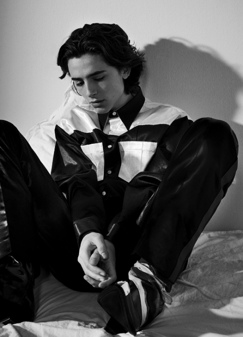 timothees-chalamet:Timothée Chalamet photographed by Collier Schorr for V Man Magazine