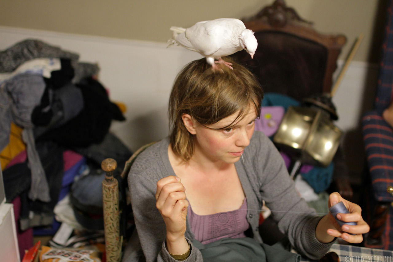 Sewing With Pigeons New Paltz, NY
More photos: People With Pigeons Series, Reenactors