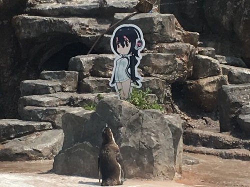 Grape-kun Left Our World Two Years Ago, But He Has Not Left Our Hearts.