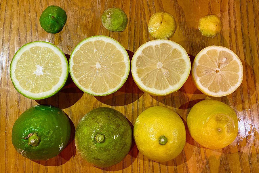 瀬戸内海のレモン畑から伝えたい「美味しいレモン」 | naturise | 豊かなくらしを叶える、自然のチカラ Powered by Hurom