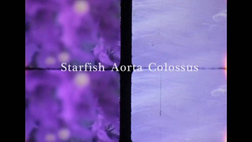 please come out &amp; support this film festival, &amp; check out the Lynne Sachs’ Starfish Aorta Co