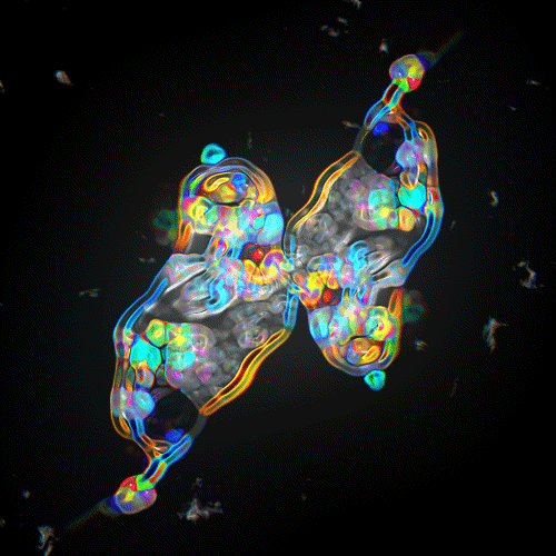 asylum-art-2:   					Protobacillus – A collection of abstract and truly mesmerizing