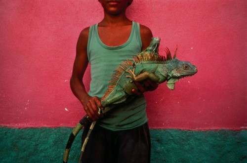joeinct: Boy with Iguanas, Kilometro Treinta, Honduras, Photo by Jeffrey Becom, 1995