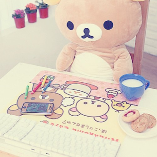 #cute#bear#rilakkuma#japan#made#flowers#cookies#cartoon#follow#likes#l4l#tagsforlikes#tflers#instagr