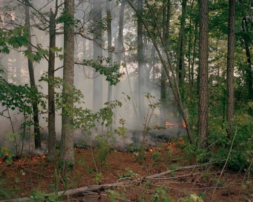 wetheurban: One Sun, One Shadow by Shane Lavalette Five years ago, photographer Shane Lavalette was 