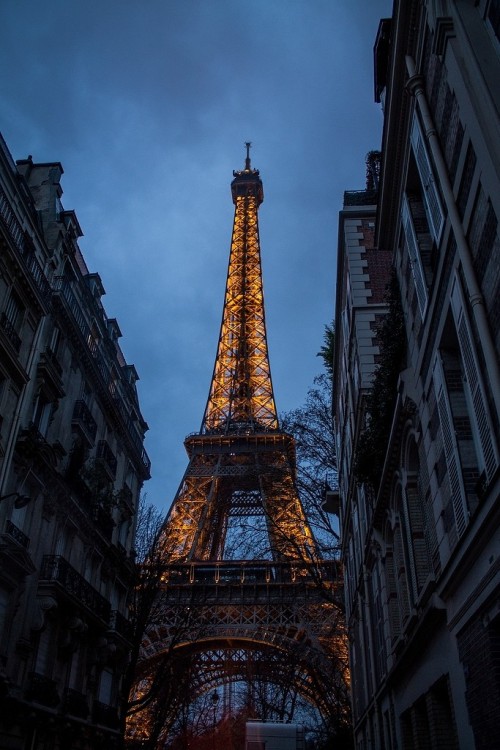 Eiffel Tower lost in buildings ~ By Alexe Ysalo