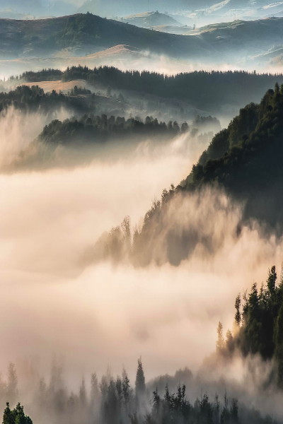 senerii:  (by Kalmar Zoltan)