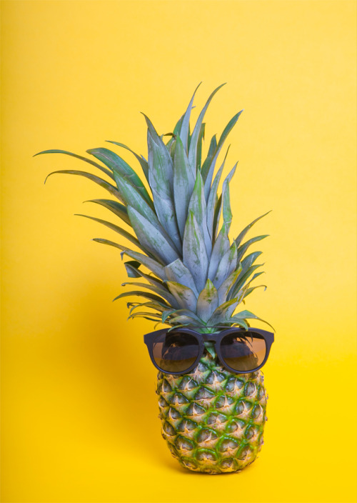 basedthursday:  lets-follow-all-the-blogs:  Actual picture of tumblr user basedthursday.  It’s true  dammit I just posted a selfie thurs why are you always one-upping me