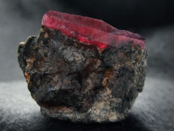 ifuckingloveminerals:  RubyWinza, Mpapwa,