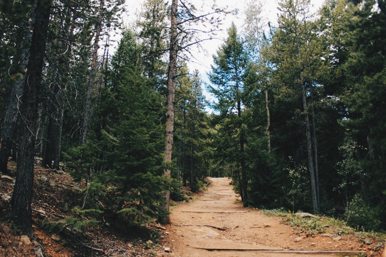  Meyer Ranch Park 