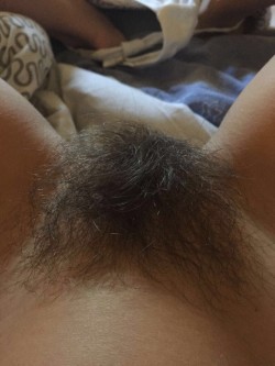 Hairy Pussy