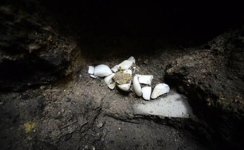 Hallan El Tzompantli Más Importante De Tenochtitlán. Es Una Estructura De Tezontle Y Estuco De Aproximadamente