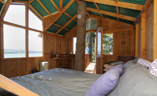 treehauslove: Eagles Perch Treehouse. A wonderful treehouse perched 20 feet (6 metres) up in a Dougl