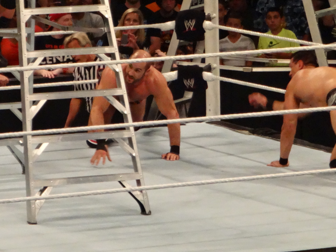 otherluces:  Cesaro (for melzabelza)  Some nice booty shots!