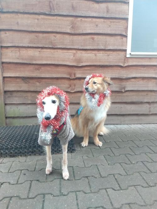 We took some fun photos with a friend! Blue here we met quite a while back, she is also an assistanc