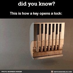 did-you-kno:    And this is how you pick a lock.   Source 